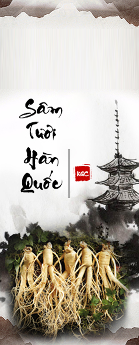 SÂM HÀN QUỐC