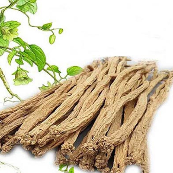 ĐẢNG SÂM