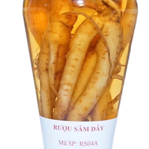 RƯỢU SÂM DÂY BỔ CHÍNH