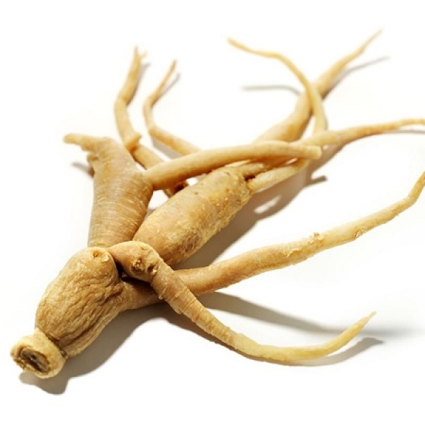 CỦ SÂM ẤN ĐỘ
